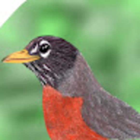 Meet your Posher, Robin - Picture 1 of 1